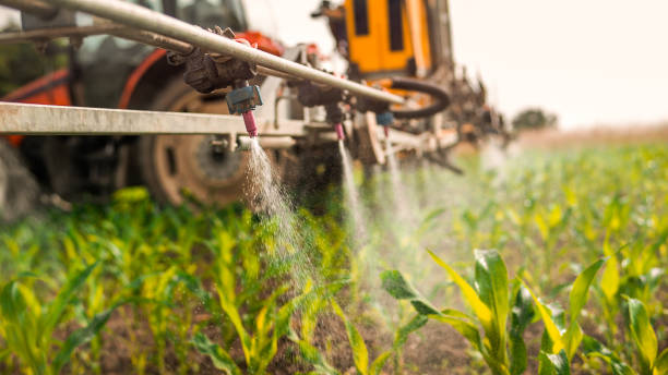 Best Pest Control Cost  in Bristow, OK